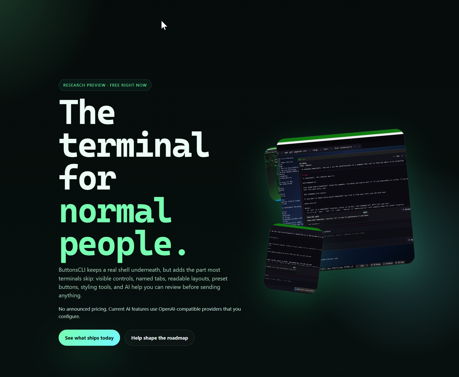 Earlier landing page concept